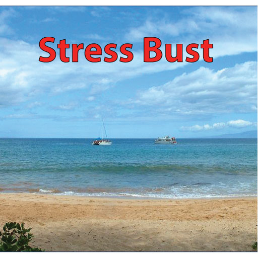 1stressbusticon