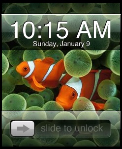 iPhone skin for WM 5 and Wisbar Advance