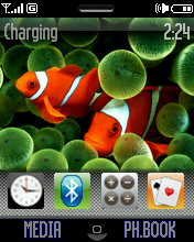 screen1wy1.png