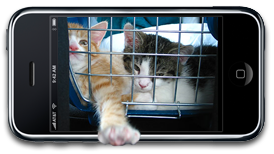 3g_iphone_jailbreak_kittehs